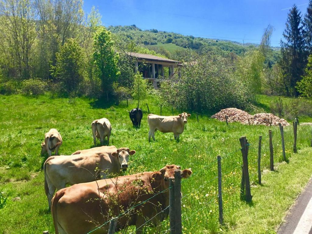 Hotel Monte Baldo Brenzone sul Garda Exterior photo